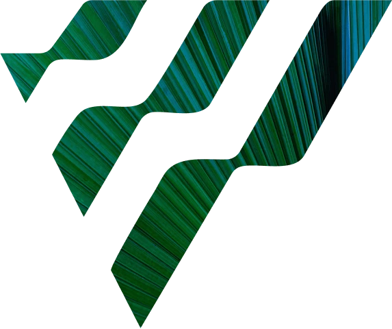 leaf texture